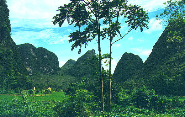 Near Yangshuo, August 1999