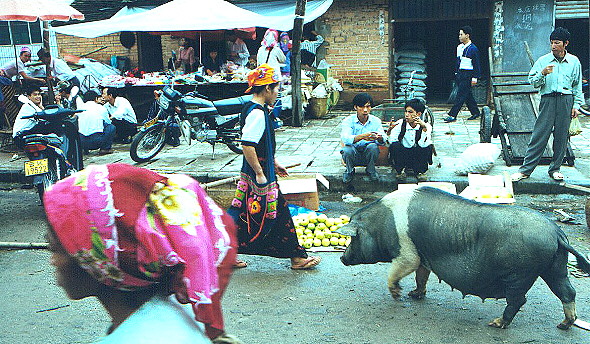 Sunday market