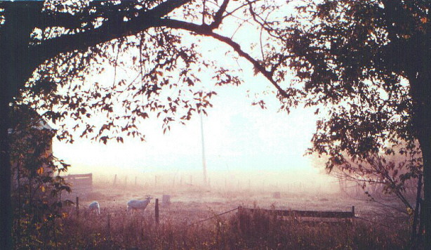 Rural Barneveld, WI