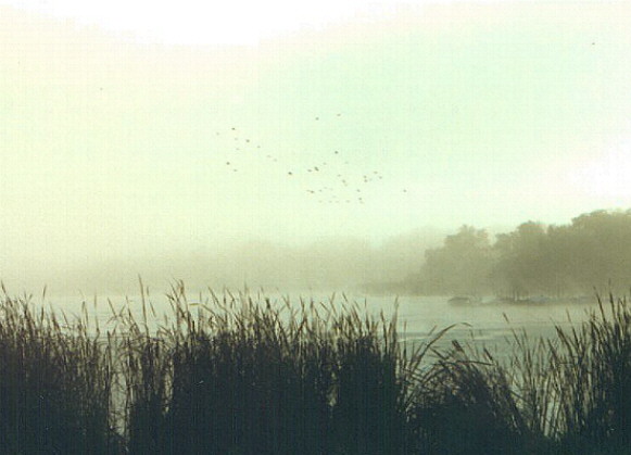 Lake Wisconsin