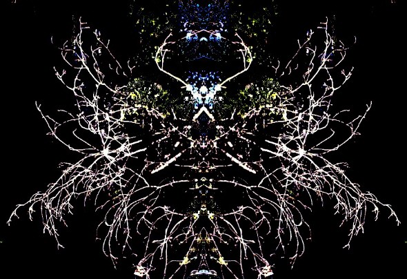 Click to see original photo