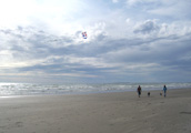 Pacific coast, 2007