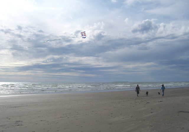 Pacific coast, 2007