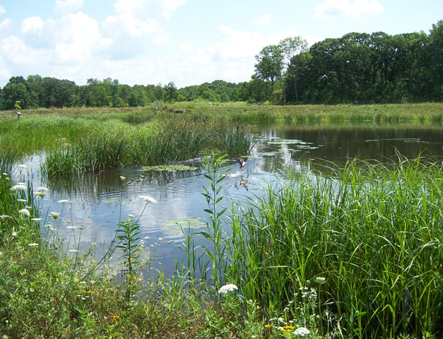 Owen Conservation Park, Madison WI