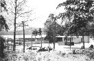 School, Jan. 1946