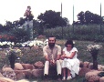July 11, 1981
