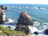 Sonoma Coast photos