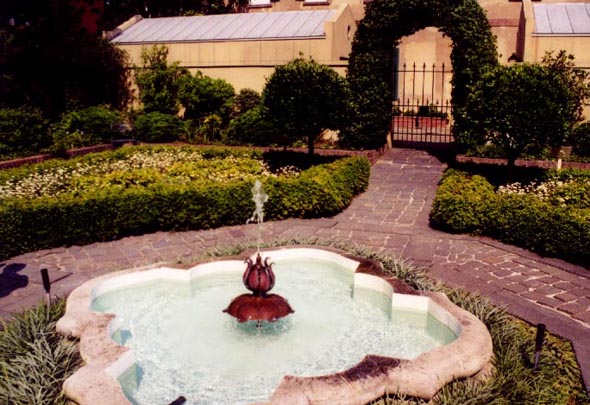 Savannah