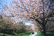 May 1957