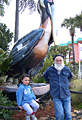 Suncoast Seabird Sanctuary Suncoast Seabird Sanctuary
