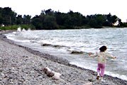 Shore at Oswego