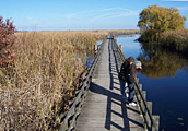 Jennifer and Betty on Marsh Boardwalk