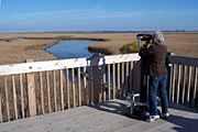Betty on marsh observation tower