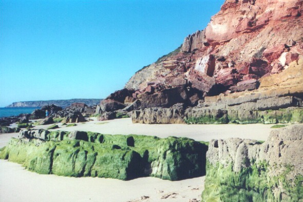 Salema