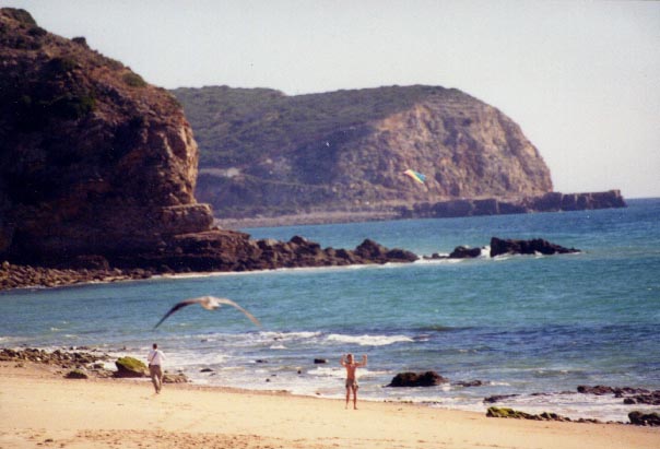 Salema