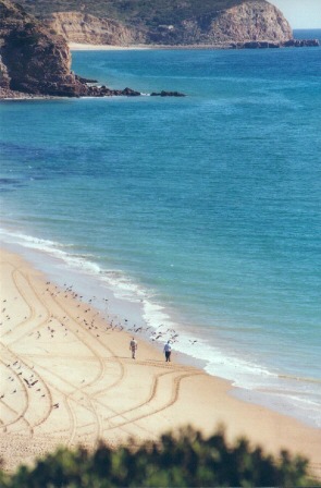 Salema