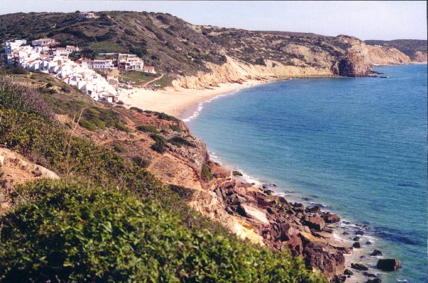 Salema