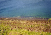 Forty-foot drop-off to sea