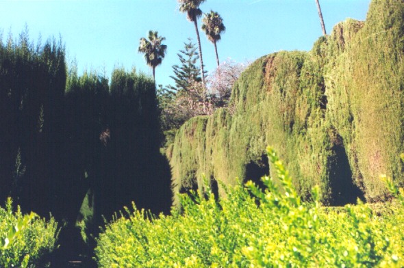 Seville's Alcazar