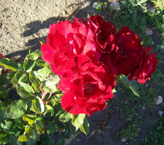 June 2007 {photo by Robert}