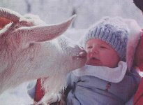 Nanny goat and Robin, Iowa Co. Wis.