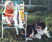 Robin, kid and Corki