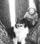 Corki and Robin in a tree, Columbia Co. WI