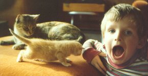 Kitten checks out Robin's bottomless pit, Lake Wisconsin