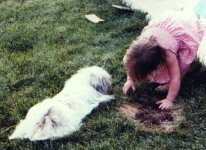 Princess and Carrie playing