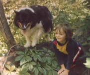 Corki and Mischa (as a kitty) in a tree