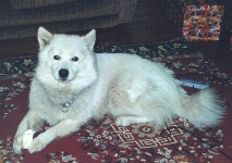 Krasna, Christmas 1997