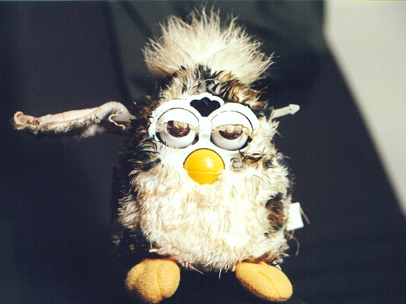 Robin's Furby