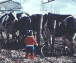 1977