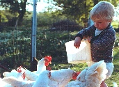 1977
