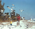 1977