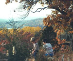 1979