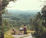 1980