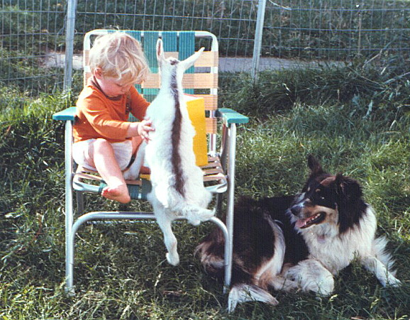 Spring 1977