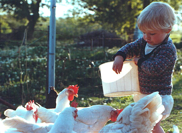 Spring 1977